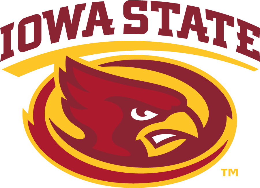 Iowa State Cyclones 2008-Pres Secondary Logo iron on transfers for T-shirts